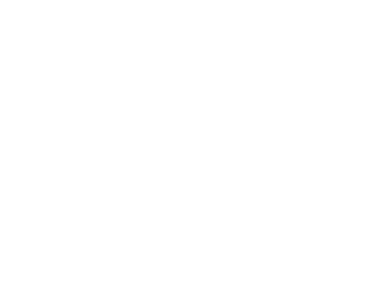 Blyss Photo