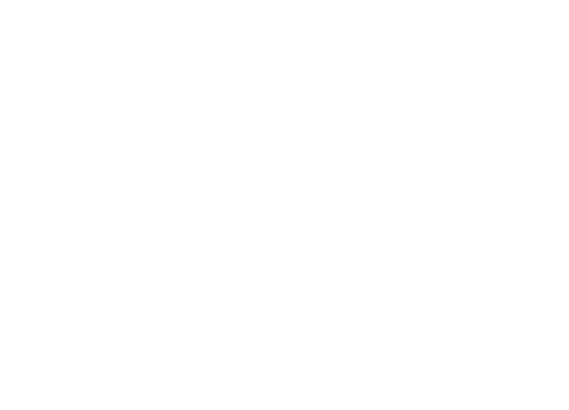 Blyss Photo
